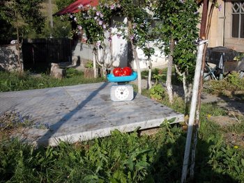 DSCN0141.JPG