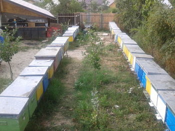 2013-08-21 17_opt.jpg