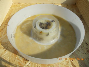 rsz_picture_002.jpg