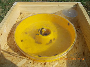 rsz_picture_001.jpg