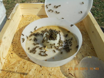 rsz_1picture_003.jpg