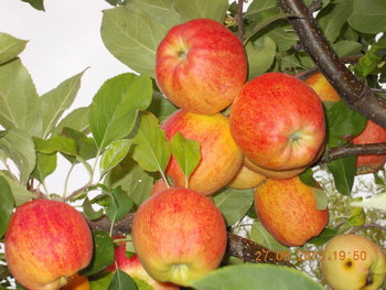 rsz_picture_027.jpg