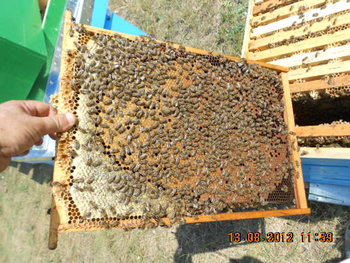 DSCN2340.jpg