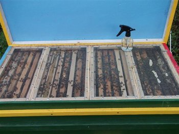 DSCF1340 (Small).JPG