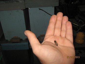 IMG_0003.jpg