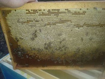 2013-09-02 18.35.10.jpg
