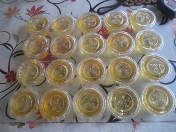 DSC03538 (Medium).JPG