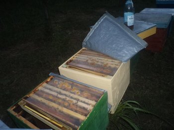 DSC03544 (Medium).JPG