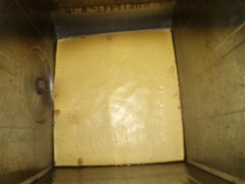 DSC03550 (Medium).JPG