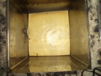 DSC03552 (Medium).JPG