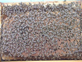 DSCF1347 (Small).JPG
