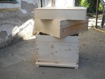 DSCN9551 (Large).JPG