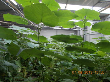 DSCN1840.JPG