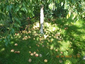 rsz_1picture_001.jpg