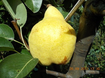 rsz_1picture_002.jpg