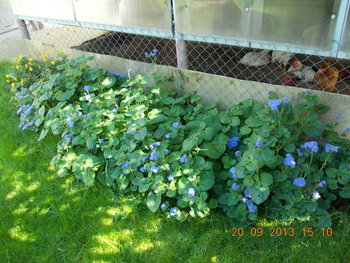 rsz_1picture_005.jpg