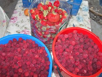 DSCF1355 (Small).JPG