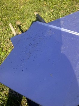 rsz_img-20130922-01275.jpg