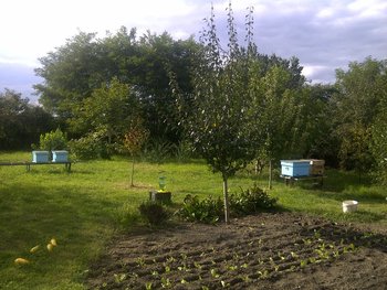 rsz_1img-20130922-01285.jpg