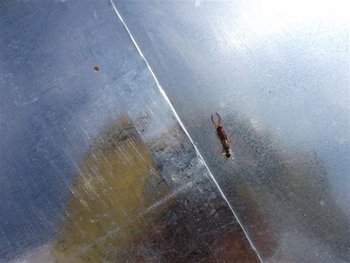 DSCF1344 (Small).JPG