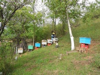 DSCN5678.JPG