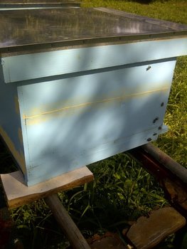 rsz_img-20131006-01449.jpg