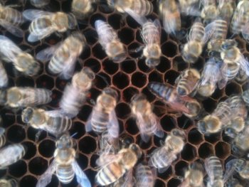 20130628_img_0846.jpg
