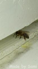 1382918_10200646021140985_1636502944_n.jpg