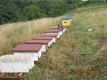 DSCN1022.JPG