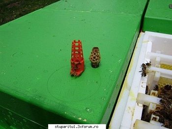 ok_138801.jpg