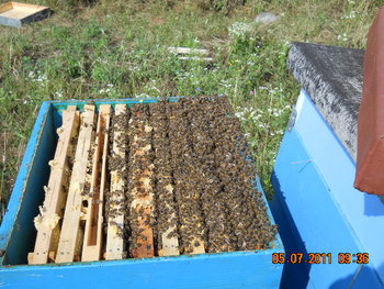 DSCN1025.JPG