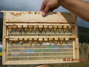 DSCN1027.JPG
