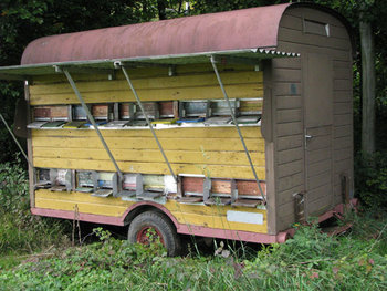 honeywagon3BK1.jpg