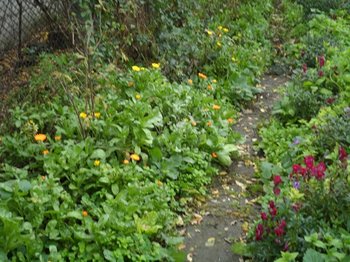 SAM_0443 (Copy).JPG