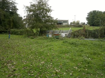20131019-122717_1.jpg