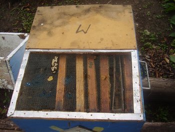 PC300325.JPG