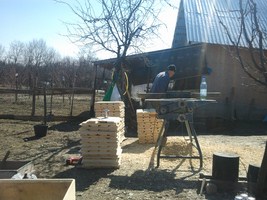 Photo0311 (Copy).jpg