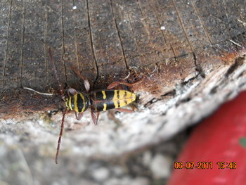 DSCN1066.JPG