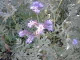 IMG_20131021_153529.jpg