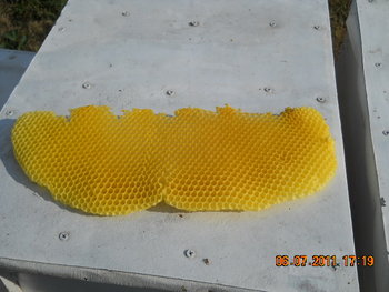 DSCN1069.JPG