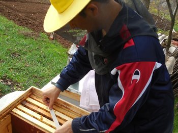 DSCN6287.JPG