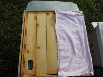 DSCN6279.JPG