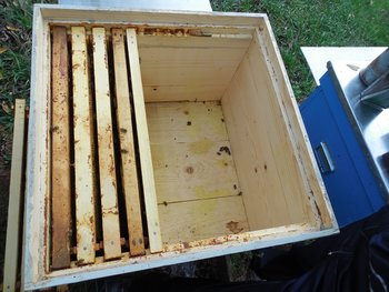 DSCN6302.JPG