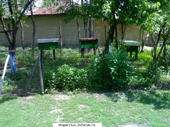 ok_165355.jpg