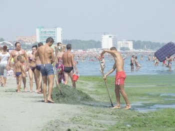 Program estival-'Soare și mișcare'.jpg