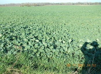 rsz_2dscn1697.jpg