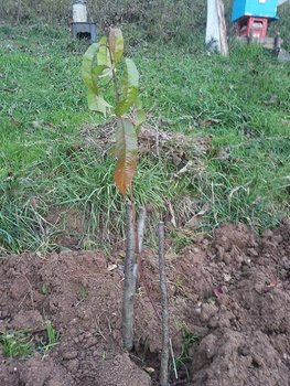 20131110_155134.jpg