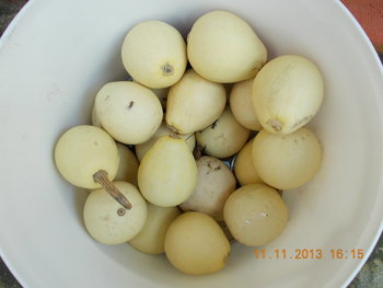 rsz_picture_055.jpg