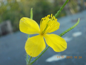 rsz_picture_064.jpg