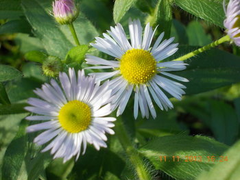 rsz_picture_065.jpg